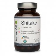 Shitake wzmacnia system odpornościowy, zwalcza stres i spowalnia procesy starzenia się