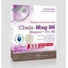 Chela Mag B6 60 kapsułek chelatowany magnez Albion o wysokiej wchłanialności
