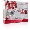 Chela-Ferr MED chelat żelaza Ferrochel® w dużej dawce