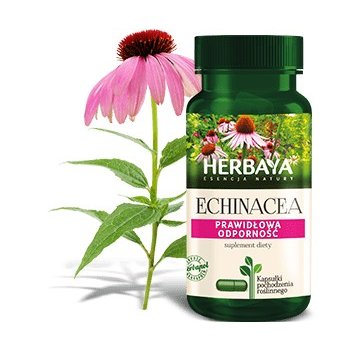 Herbaya Echinacea Prawidłowa Odporność