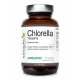Chlorella Yaeyama Japan Rozbite Ściany Komórkowe