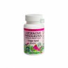Ginseng Czerwone Winogrona 95% OPC