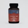 Terranova Chaga 100% Pełne Spektrum