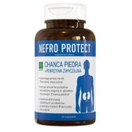 Nefro Protect wspiera funkcje układu moczowego