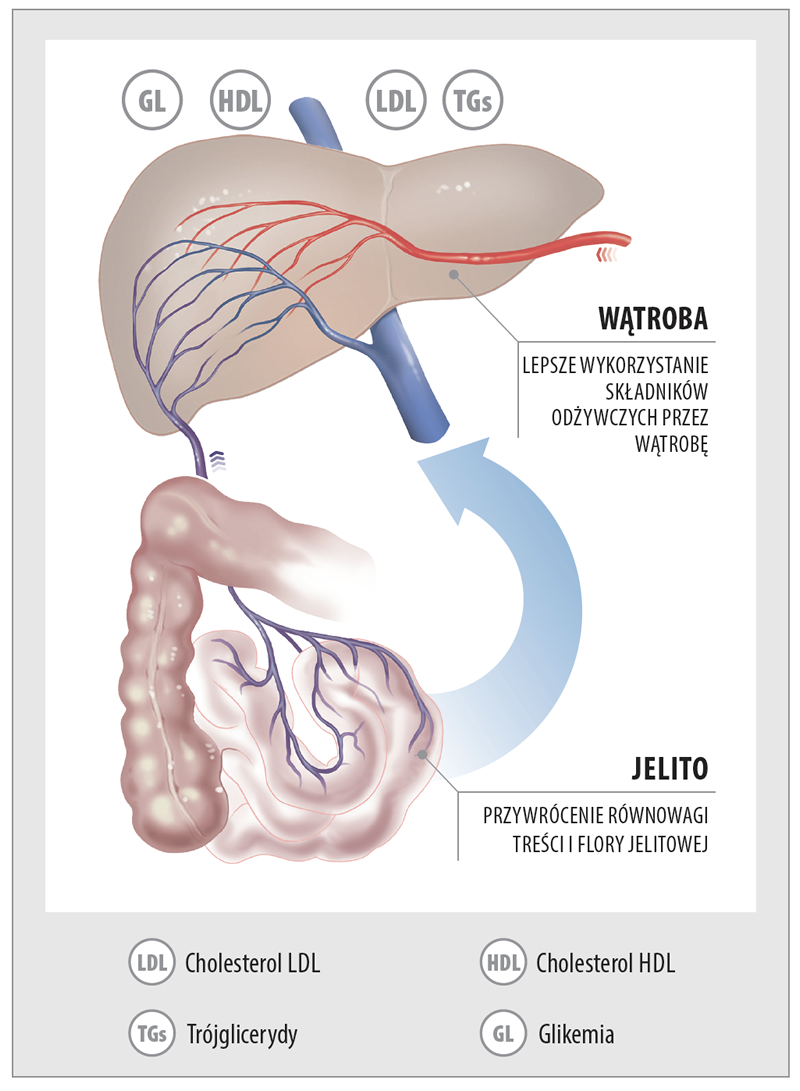 Aboca Metarecod Poprawa Wyników by uniknąć Zespołu Metabolicznego - Strefa  Leków